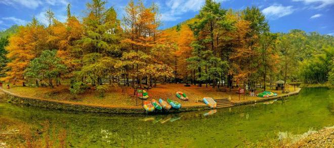 四季景色千姿百态